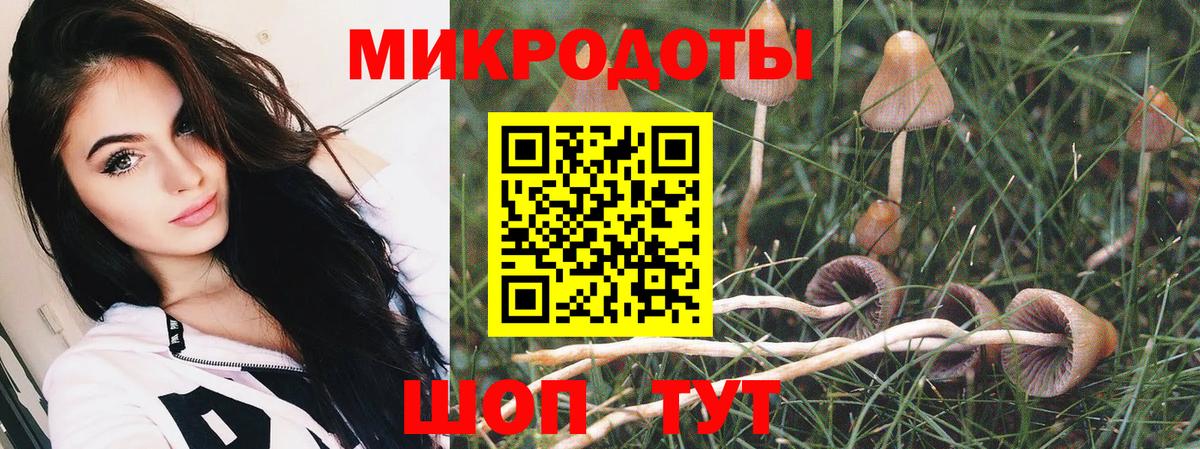 Псилоцибиновые грибы Cubensis  Галлюциногенные грибы MAGIC MUSHROOMS  Вход с VPN  Шарыпово 